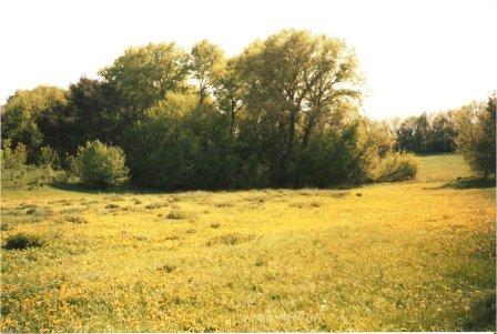 Наші фото - Бутовщина