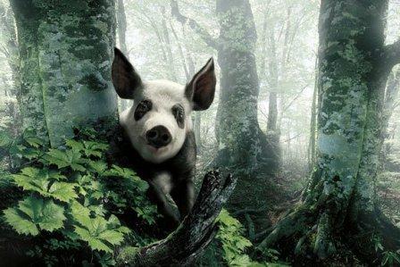 Наші фото - Петрушки