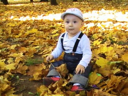 Наші фото - Левки