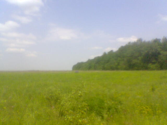 Наші фото - Ланівка