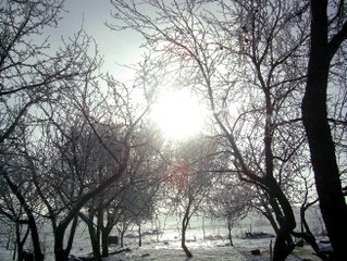 Наші фото - Дубовцы