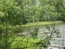 Моє рідне село