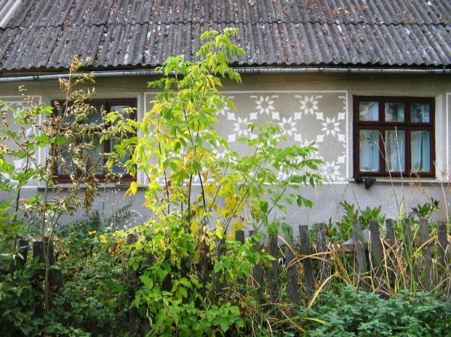 Наші фото - Дубівці