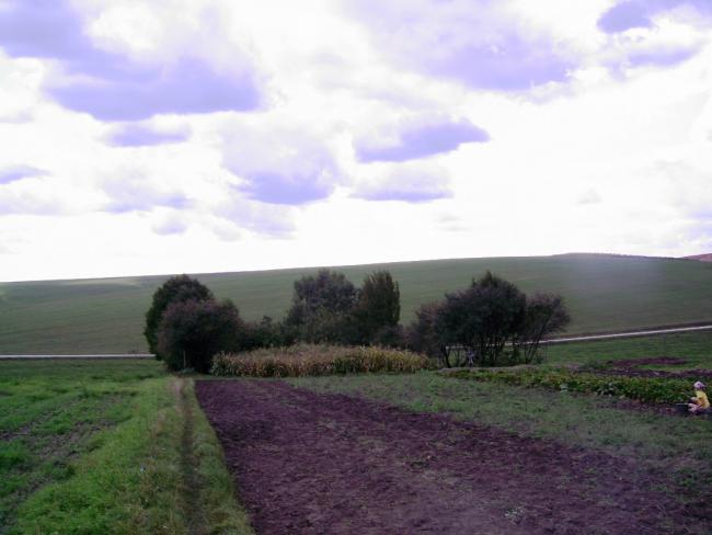 Наші фото - Дубовцы