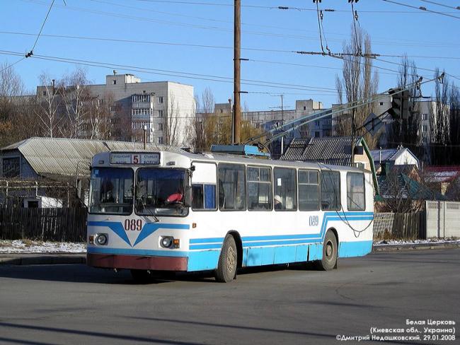 Літо - Біла Церква