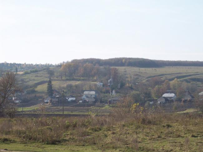 природа - Заставці