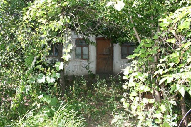 c.Крикунка, годы спустя - Крикунка