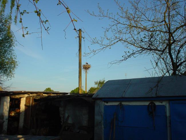 Наші фото - Пальчики