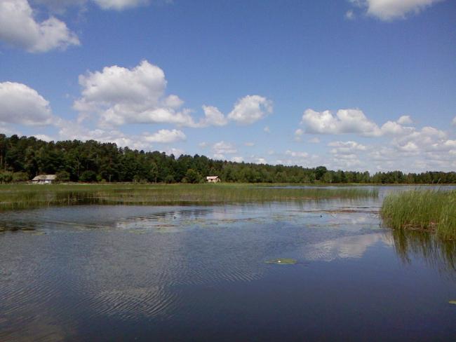 Наші фото - Таборище