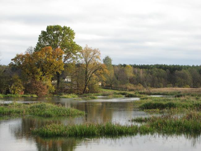 Наші фото - Таборище