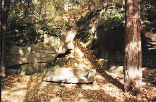 Наші фото - Муровані Курилівці