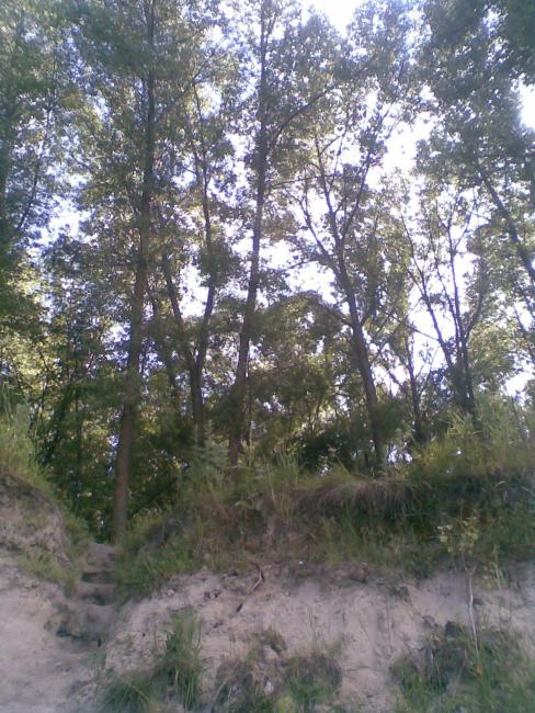 Воловиця - Воловиця