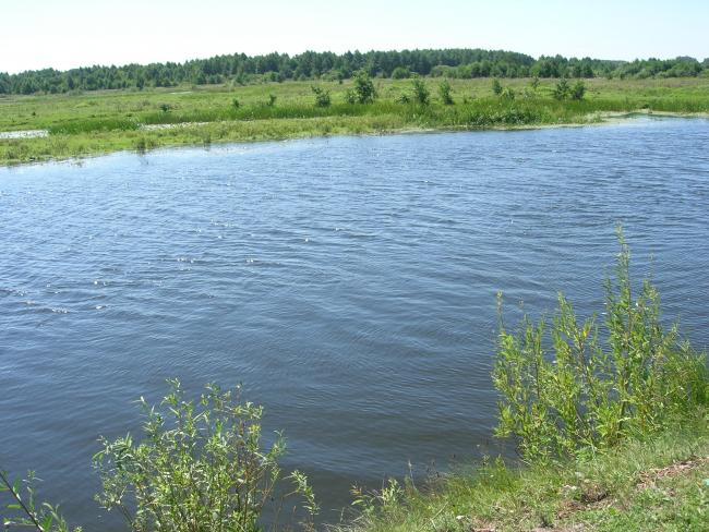 Наші фото - Макишин