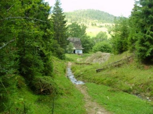 Карпатське - Карпатське