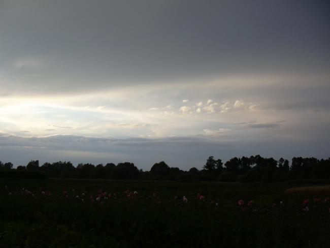 Рiдне село. - Великий Скнит