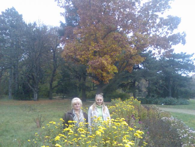 живописные уголки парка - Veseli Bokovenky