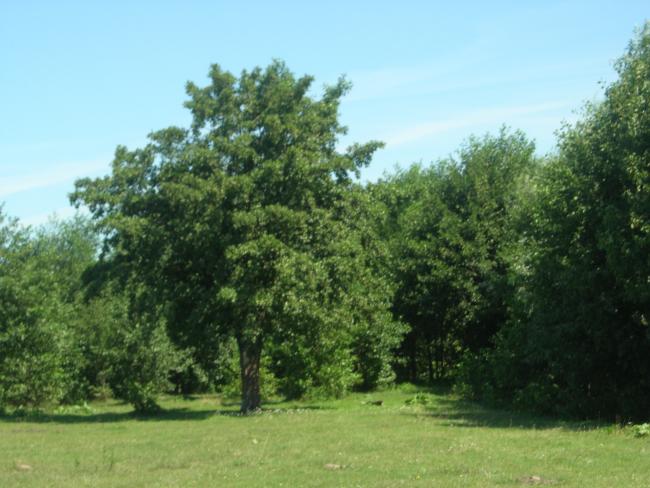 Наші фото - Макишин