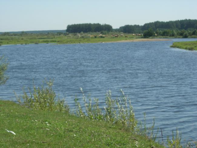 Наші фото - Макишин