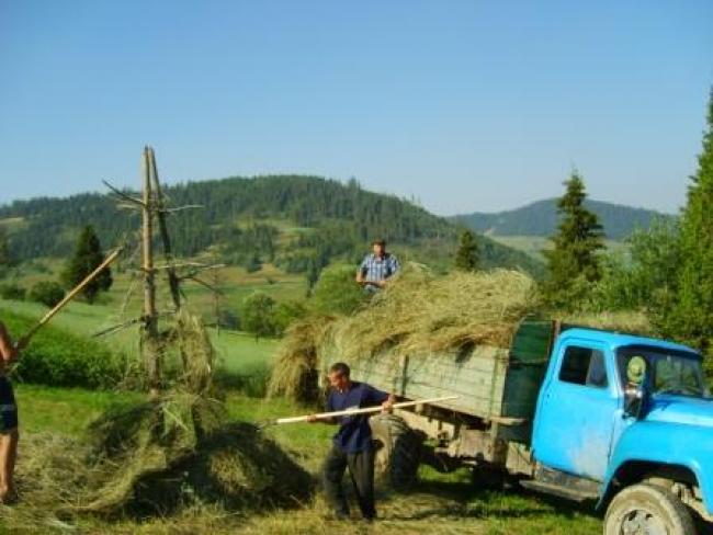 Карпатське - Карпатське