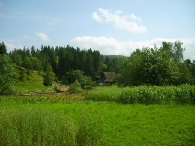 Карпатське - Карпатське