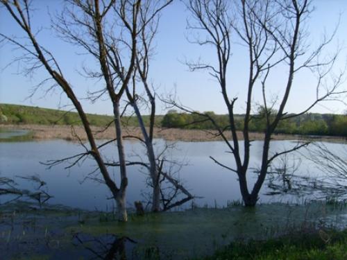 Наші фото - Збриж