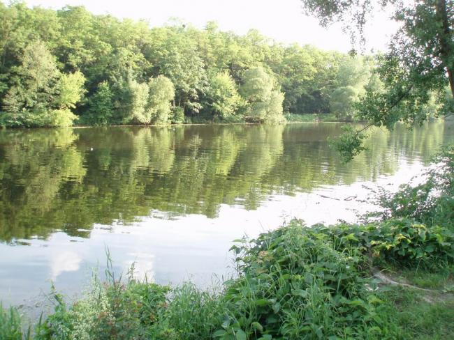 Наші фото - Біла Церква