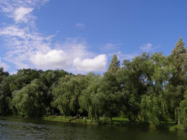 Наші фото - Біла Церква
