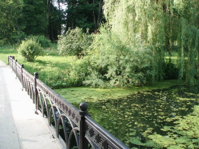 Наші фото - Біла Церква