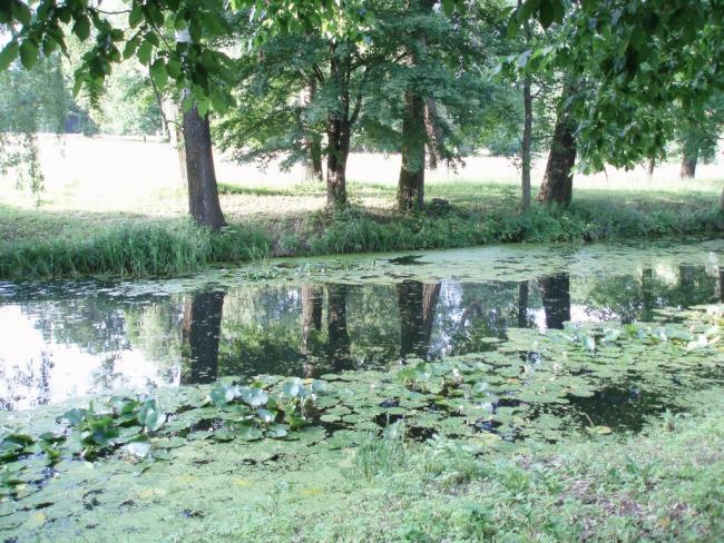 Наші фото - Біла Церква