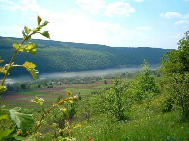 Наші фото - Губин