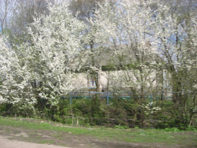 Наші фото - Гелетинці