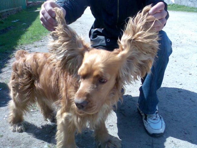 Наші фото - Самушин