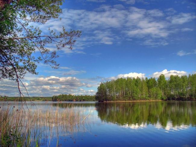 Наші фото - Киселівка