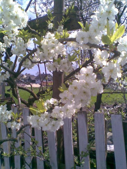 Наші фото - Моквин