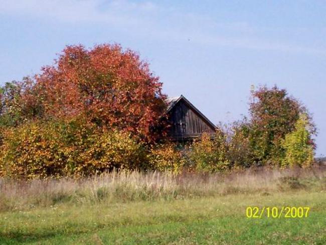 Наші фото - Будо-Вороб'ї