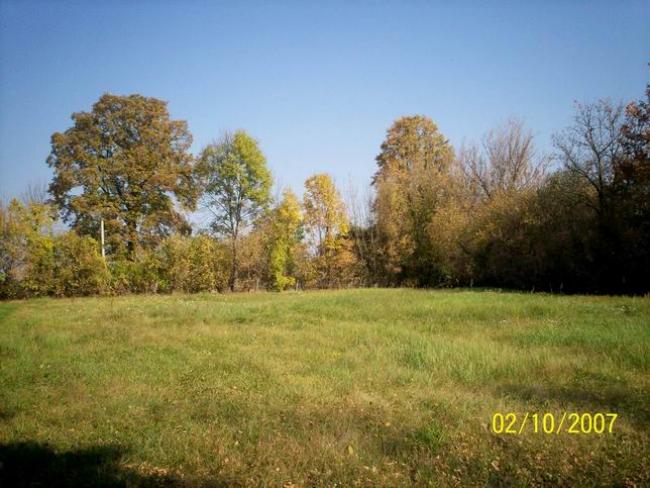 Наші фото - Будо-Вороб'ї