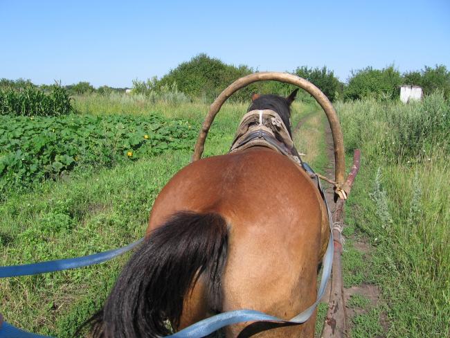 Наші фото - Бутовщина