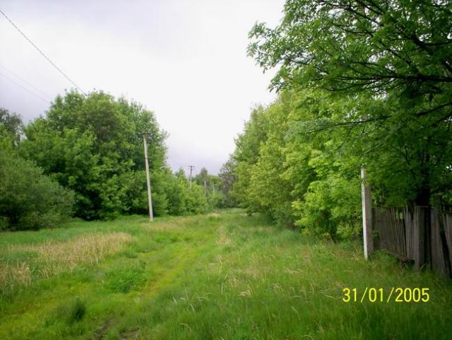 Наші фото - Будо-Вороб'ї