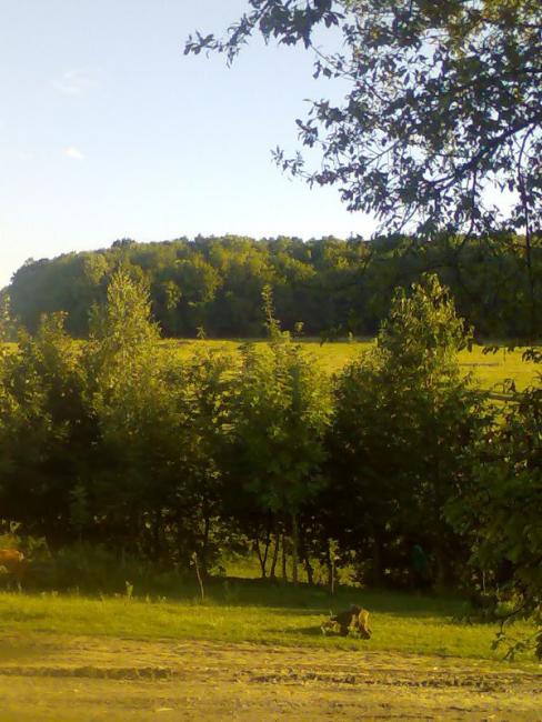 Наші фото - Цвітова