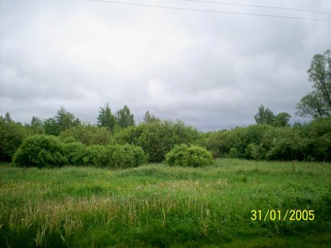 Наші фото - Будо-Вороб'ї