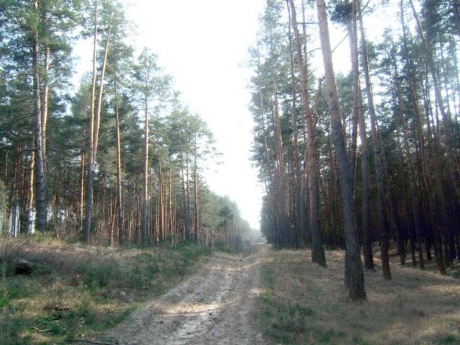 Наші фото - Макуховка