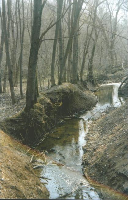 Наші фото - Макуховка