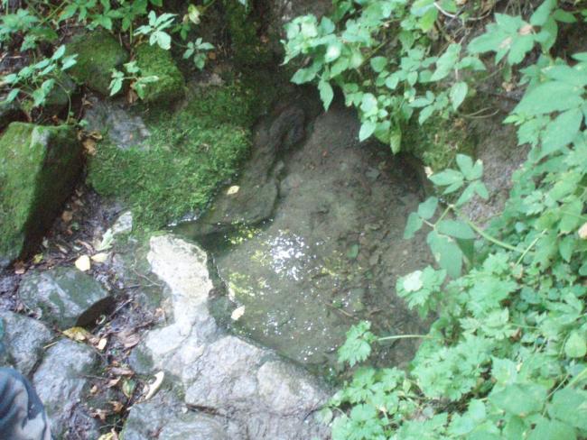 Наші фото - Борсків