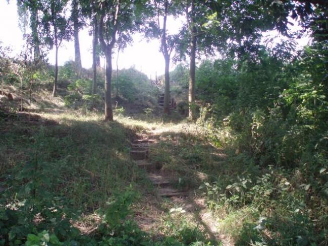 Наші фото - Борсків