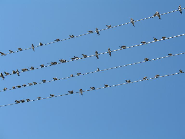 Говтва - Говтва