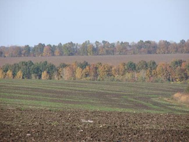 Ланна восени - Ланная