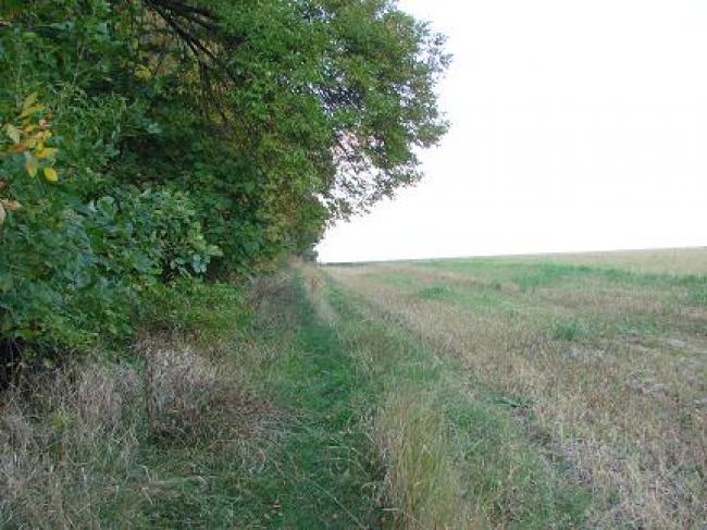 Ланна восени - Ланная