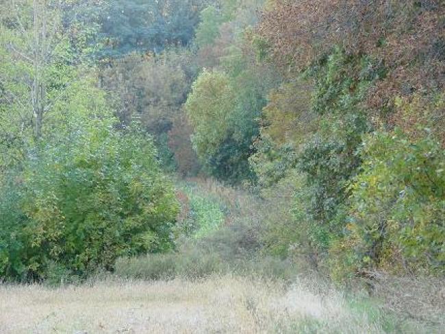 Ланна восени - Ланная