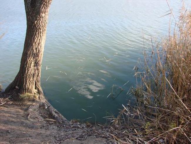 Ланна восени - Ланна