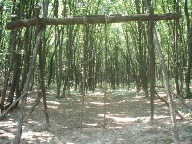 Наші фото - Борсків